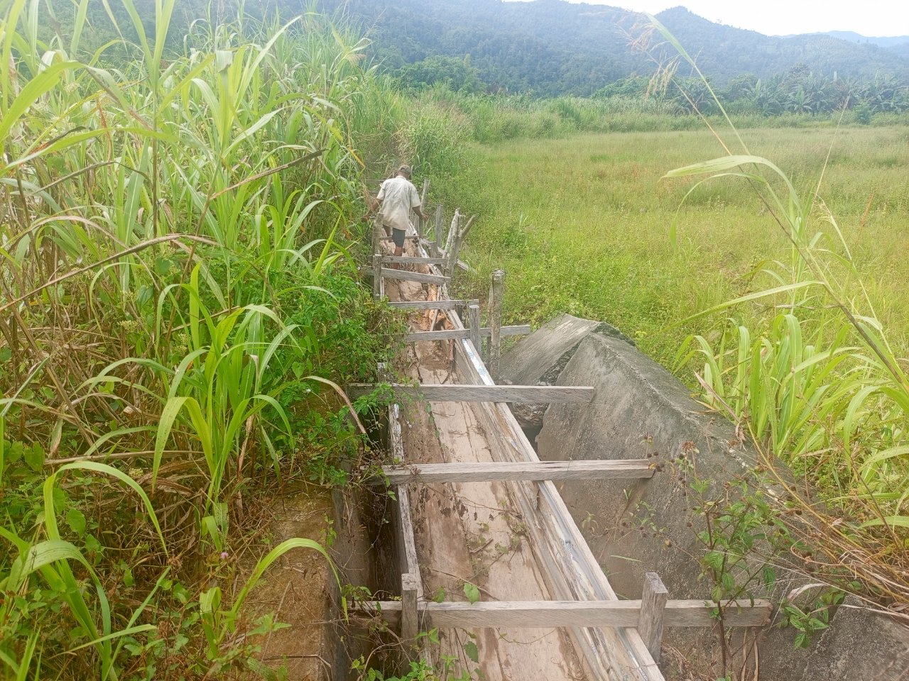 Rp2 Miliar Menguap? Irigasi Binontoan Tolitoli Tak Berfungsi, 300 Sawah Terbengkalai Tiga Musim