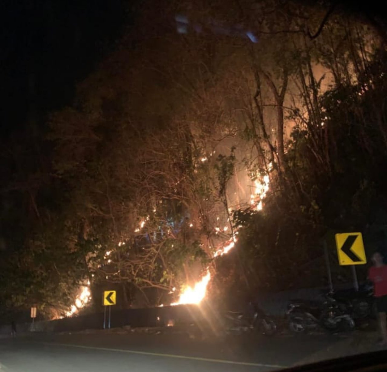 Kebakaran Hebat Landa Parigi Moutong! 2,5 Hektare Lahan Cengkeh dan Kelapa di Kasimbar Terbakar