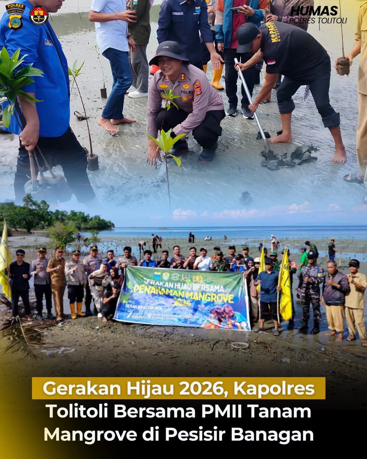 Kapolres Tolitoli dan PMII Tanam Mangrove di Banagan, Perkuat Benteng Pesisir dari Ancaman Abrasi